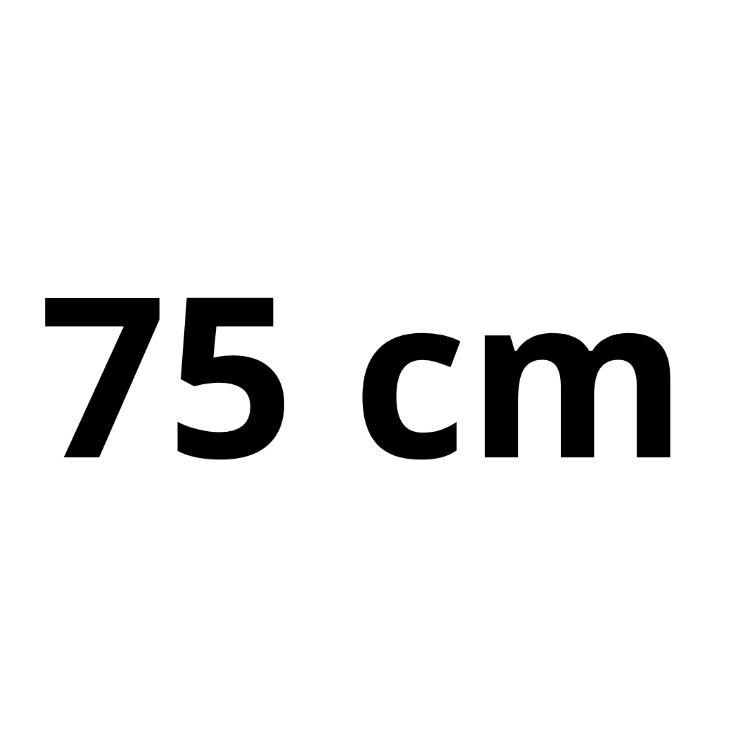 Standard length : 75 cm 