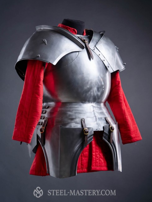 Milanese cuirass with the skirt and tassets - 1460 year Armadura de placas