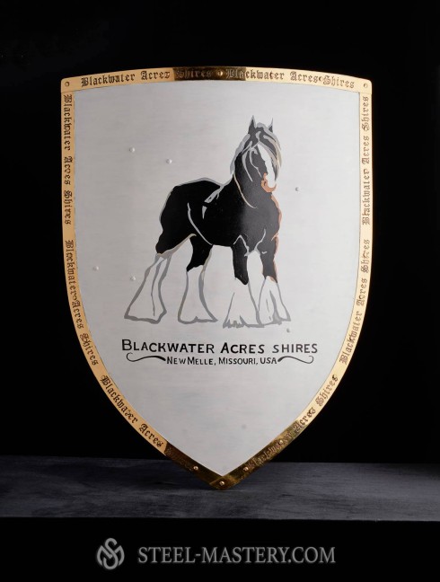 Steel shield Armure de plaques