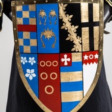 Steel shield image-1