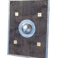 Gladiator shield image-1