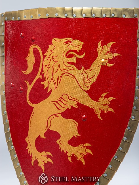 Triangle shield for reenactors and SCA Armure de plaques