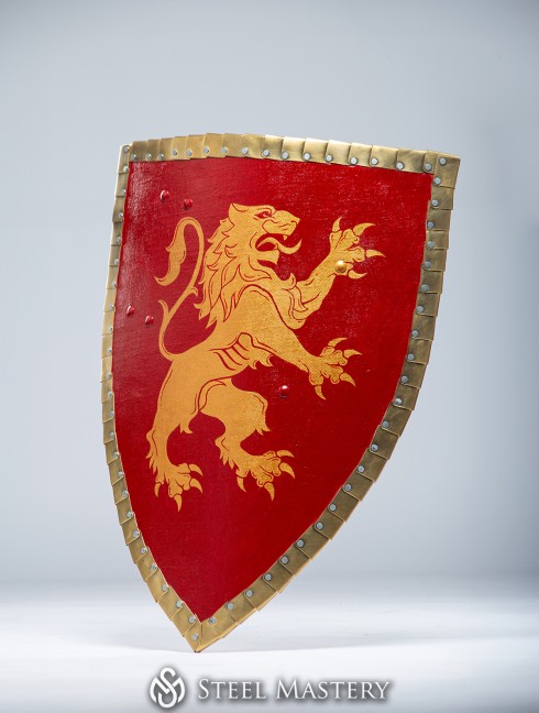 Triangle shield for reenactors and SCA Armadura de placas