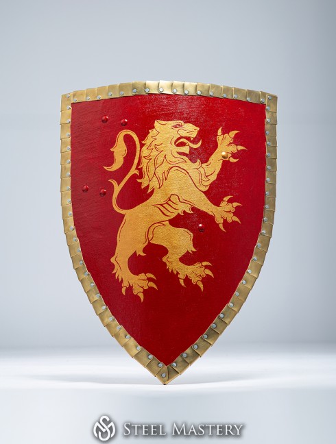 Triangle shield for reenactors and SCA Armure de plaques