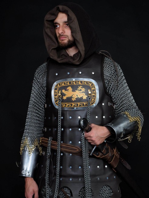 13 century European armour in colours of the English royal house Full armour