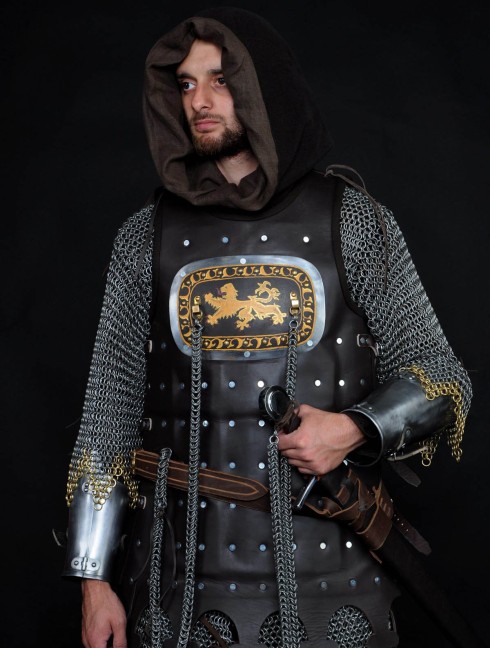 13 century European armour in colours of the English royal house Armadura de placas