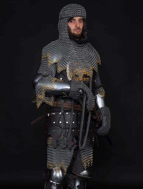 13 century European armour in colours of the English royal house Full armour