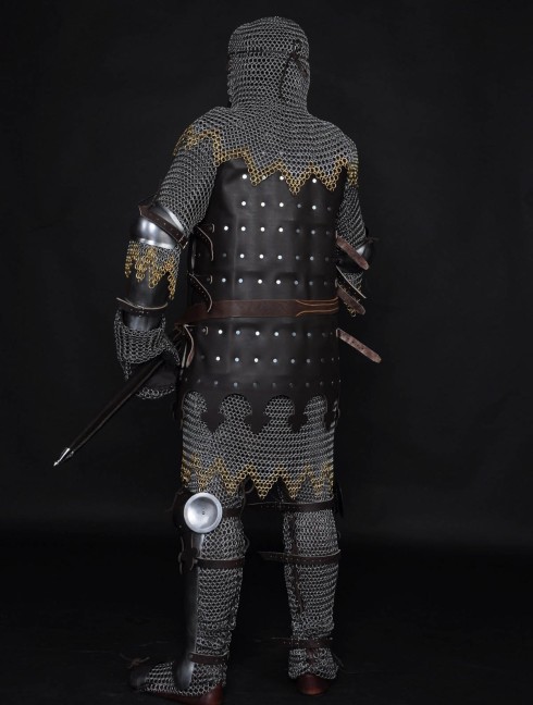 13 century European armour in colours of the English royal house Armure de plaques