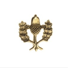 "Oak leaves and Acorn" Badge image-1