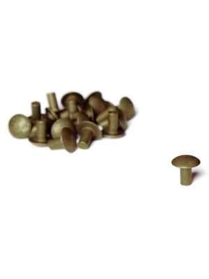 50 brass rivets (10x8mm) Corazza