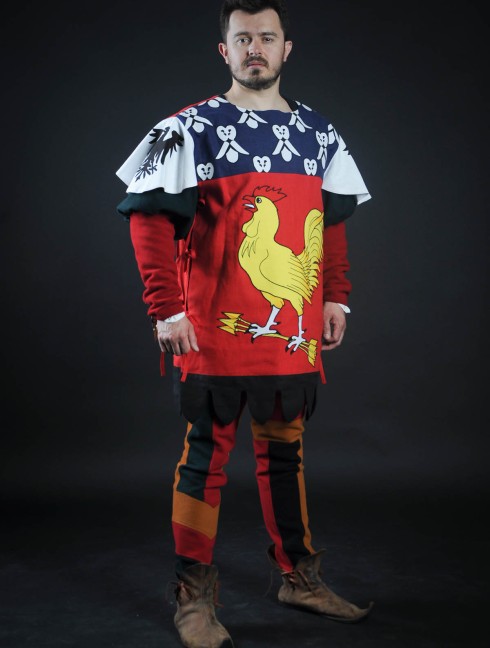 Coat of arms (tabard) with cock with arrows Body