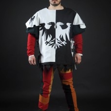 Half-colored tabard with black and white half-eagles  image-1