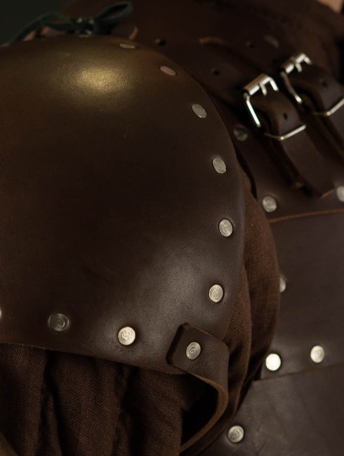 Leather brigantine kit in style of 14th century Armadura de placas