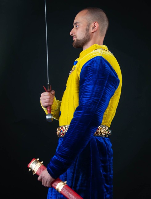 Velvet gambeson, quarter colored Gambeson