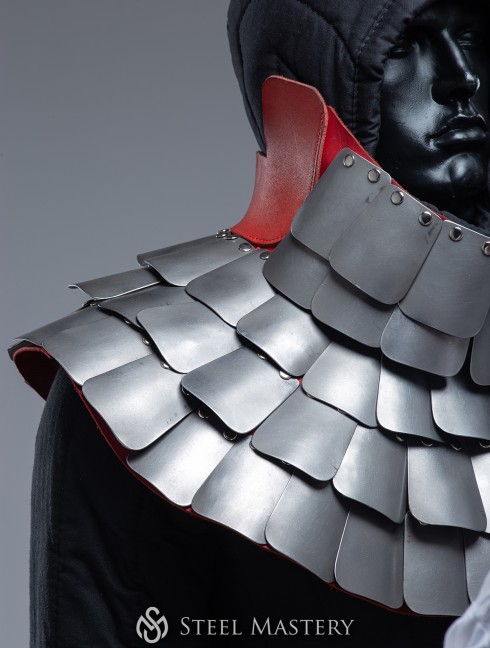 BATTLE-READY SCALE AVENTAIL Helme