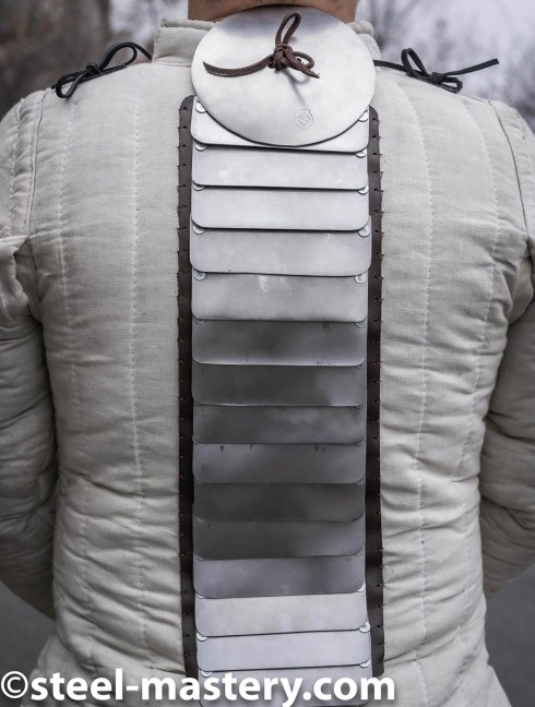 Additional back protection Scale body armour and plates