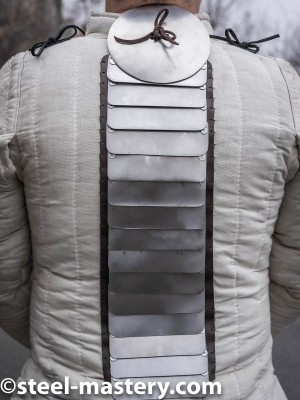 Additional back protection