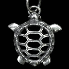 Turtle medallion image-1