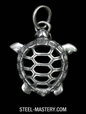Turtle medallion