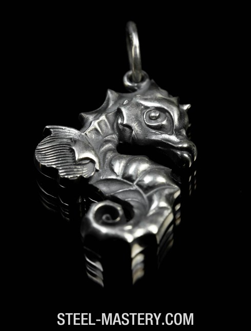 Seahorse  (sea dregon) pendant Pendants