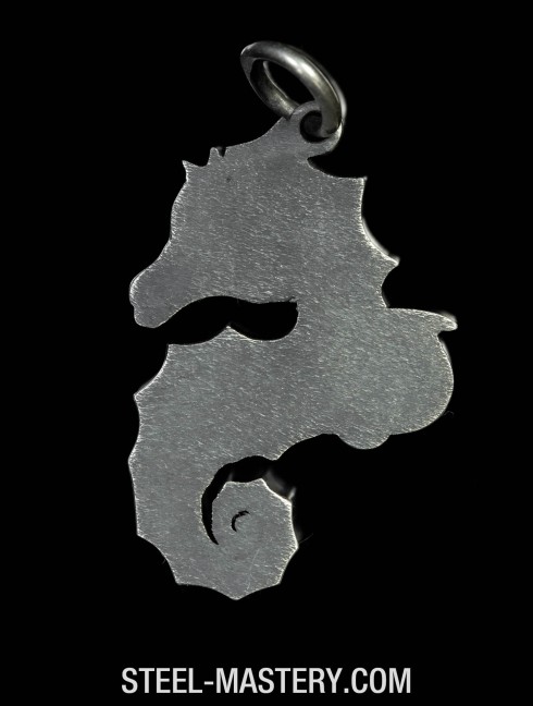 Seahorse  (sea dregon) pendant Pendants