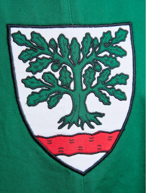 Sleevles green tabard with oak tree  Old categories