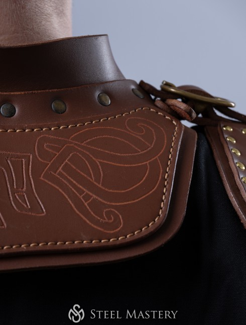 The Witcher: Lederkragen der Katzenschule Alte Kategorien