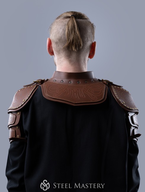 The Witcher: Lederkragen der Katzenschule Alte Kategorien