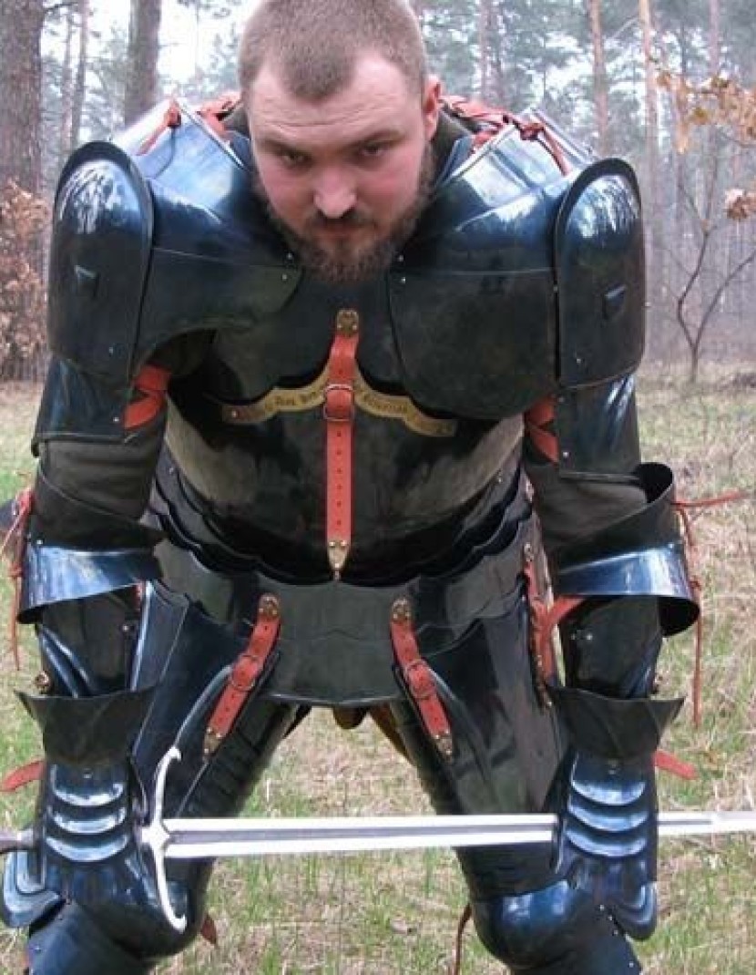 English gothic plate arms of the second half of the 15th century photo made by Steel-mastery.com