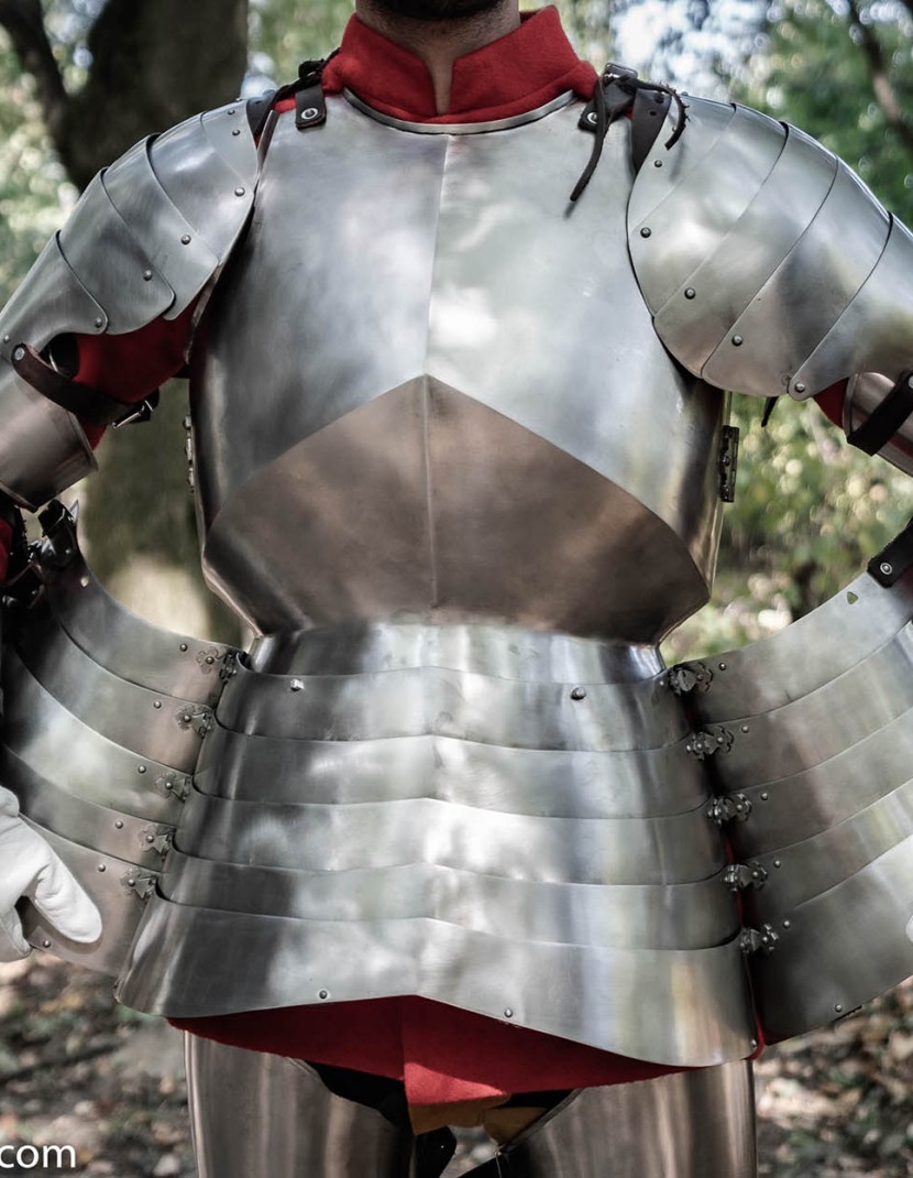 KASTEN-BRUST CUIRASS WITH THE SKIRT photo made by Steel-mastery.com