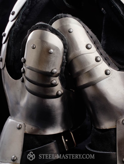 Plate gloves for modern sword fencing