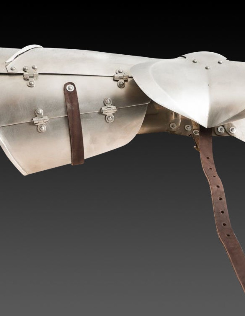 Milan-style plate legs with knee caps 1450-1485 years, a part of "Avant Armour" photo made by Steel-mastery.com