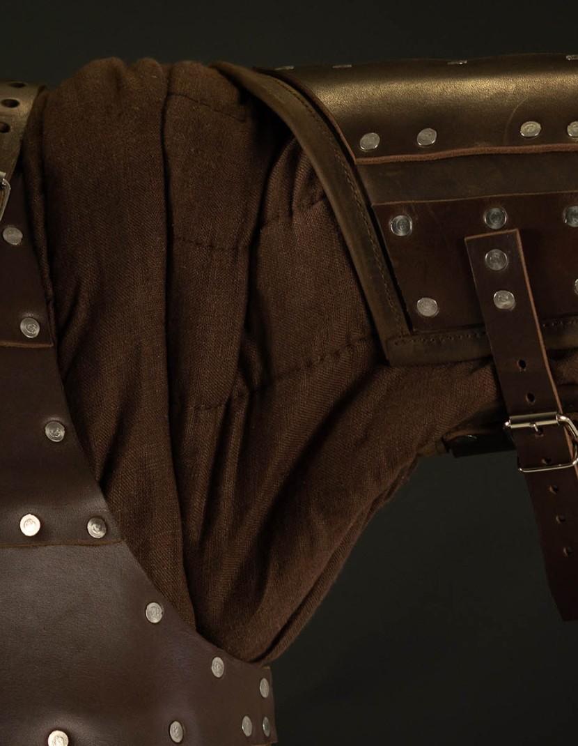 Leather brigandine protection of upper part of arm photo made by Steel-mastery.com