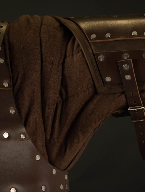 Leather brigandine protection of upper part of arm