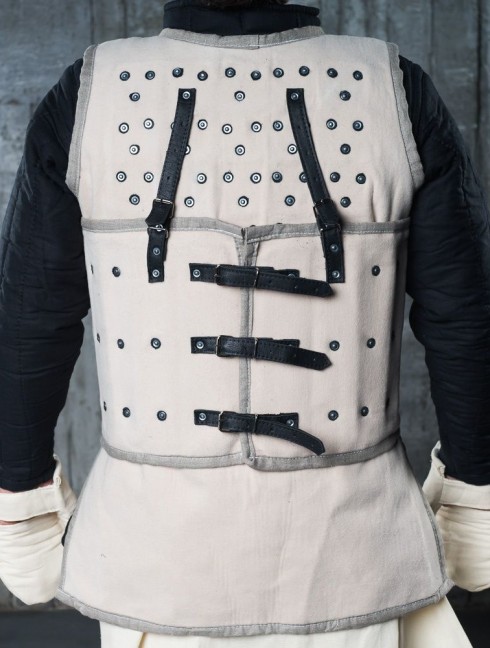 Visby brigandine with fastenings on the back, 1361
