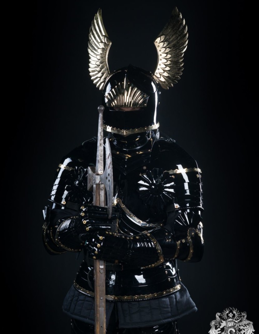 Full-plate Gothic armor, XV century photo made by Steel-mastery.com