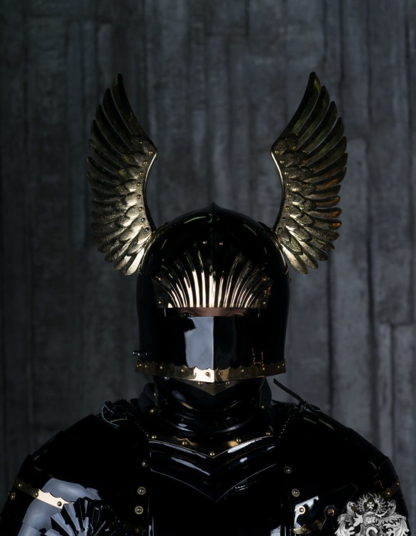 Full-plate Gothic armor, XV century photo made by Steel-mastery.com