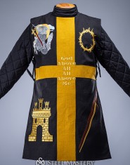 PORTFOLIO TABARDS (not for sale)