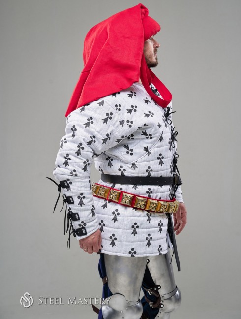 Costume of Charles de Blois from battle of the Hundred Years' War, stylization