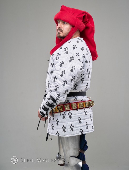 Costume of Charles de Blois from battle of the Hundred Years' War, stylization