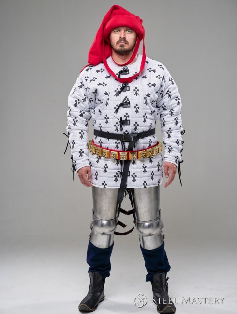 Costume of Charles de Blois from battle of the Hundred Years' War, stylization