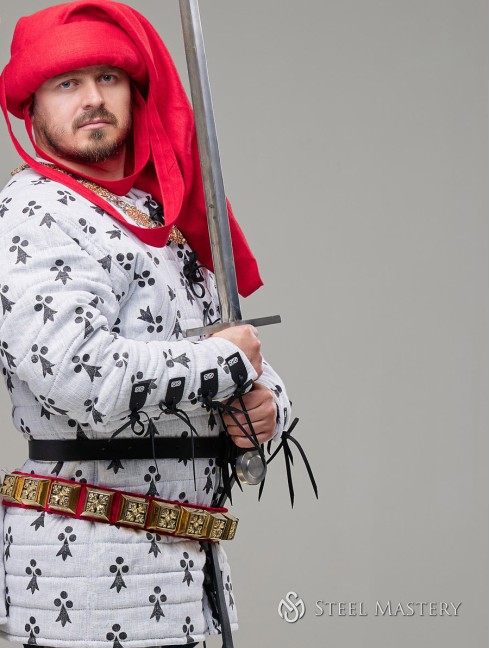 Costume of Charles de Blois from battle of the Hundred Years' War, stylization