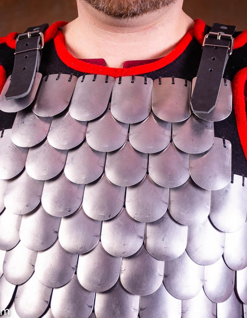 Steel scale armour photo made by Steel-mastery.com