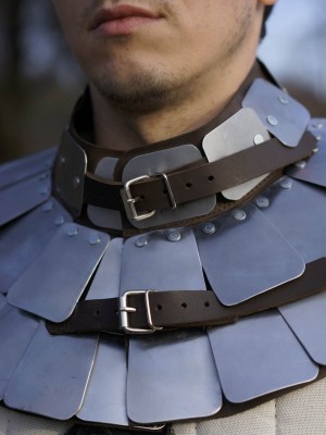 PLATE SCALE NECKLACE