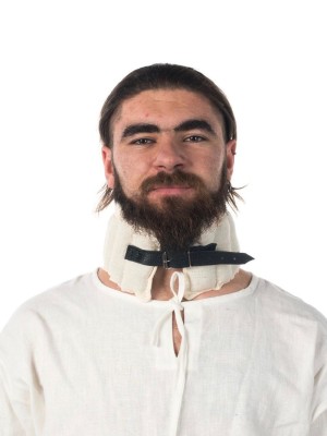 Padded collar