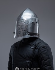 Fencing helmet
