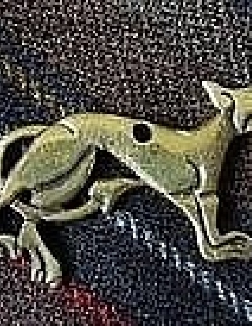 Celtic dog pendant photo made by Steel-mastery.com