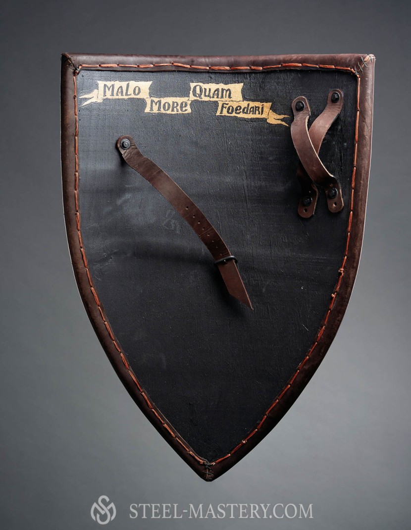 Triangle shield for reenactors and SCA photo made by Steel-mastery.com