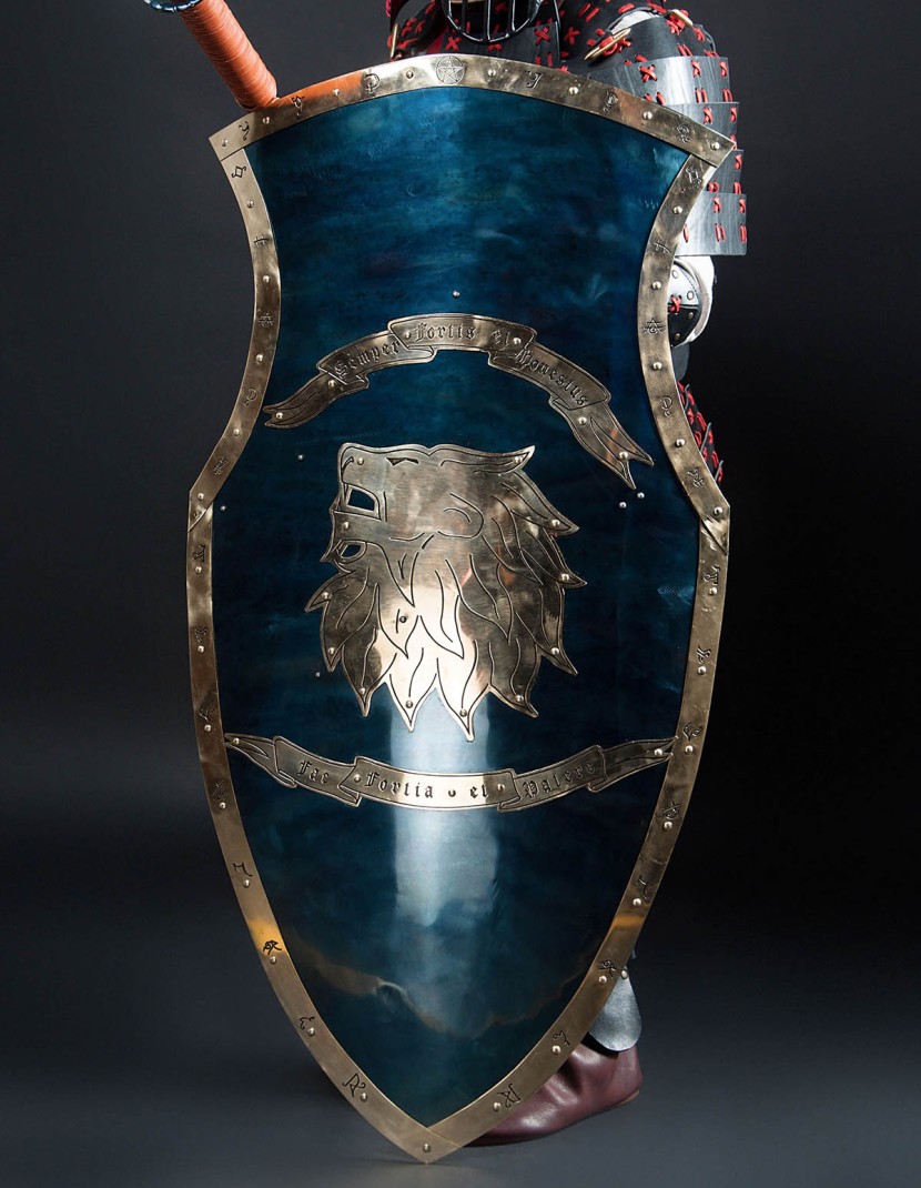 WARRIOR SHIELD photo made by Steel-mastery.com