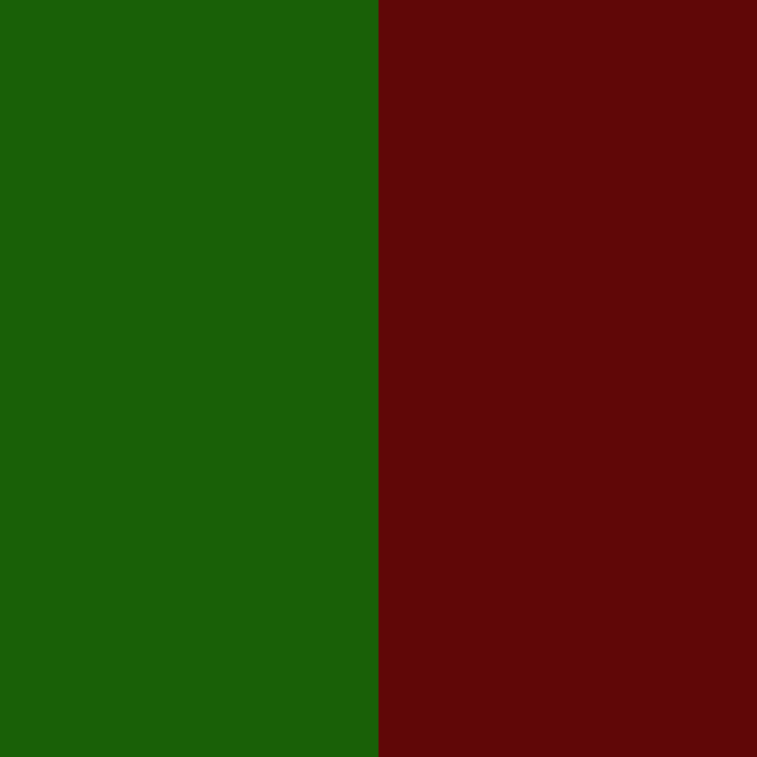 Colors for hat : wine red and green